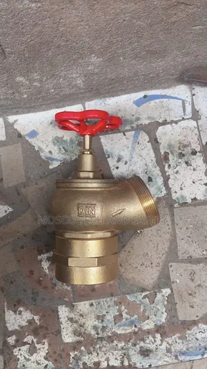DN65 Brass Fire Hydrant Landing Valve