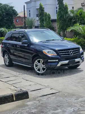 Mercedes-Benz M Class 2014 Blue