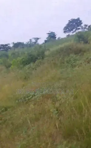 One Plot of Land