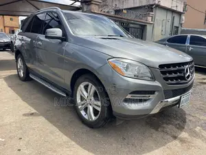 Mercedes-Benz M Class 2015 Gray