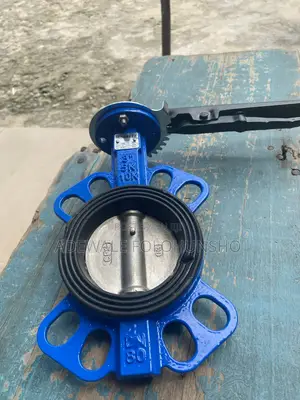 3” Butterfly Valve