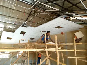 Suspended Ceiling