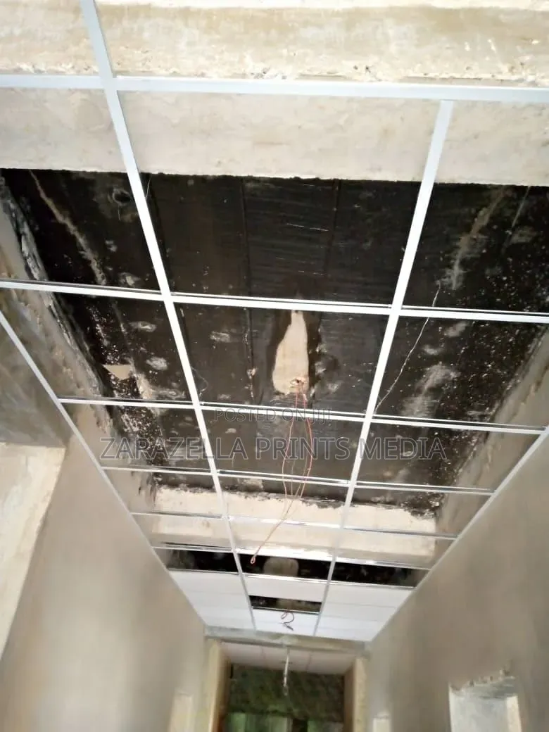 Suspended Ceiling