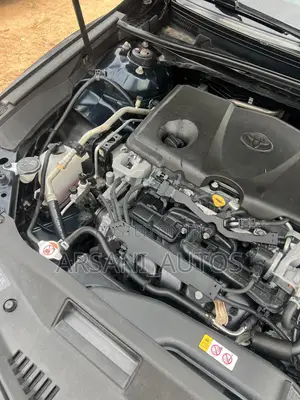 Toyota Camry SE (2.5L 4cyl 8A) 2019 Green