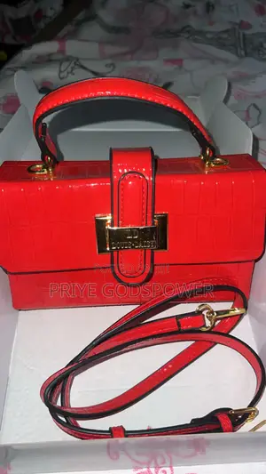 Small Handbag