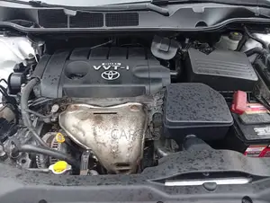 Toyota Venza 2009 Silver