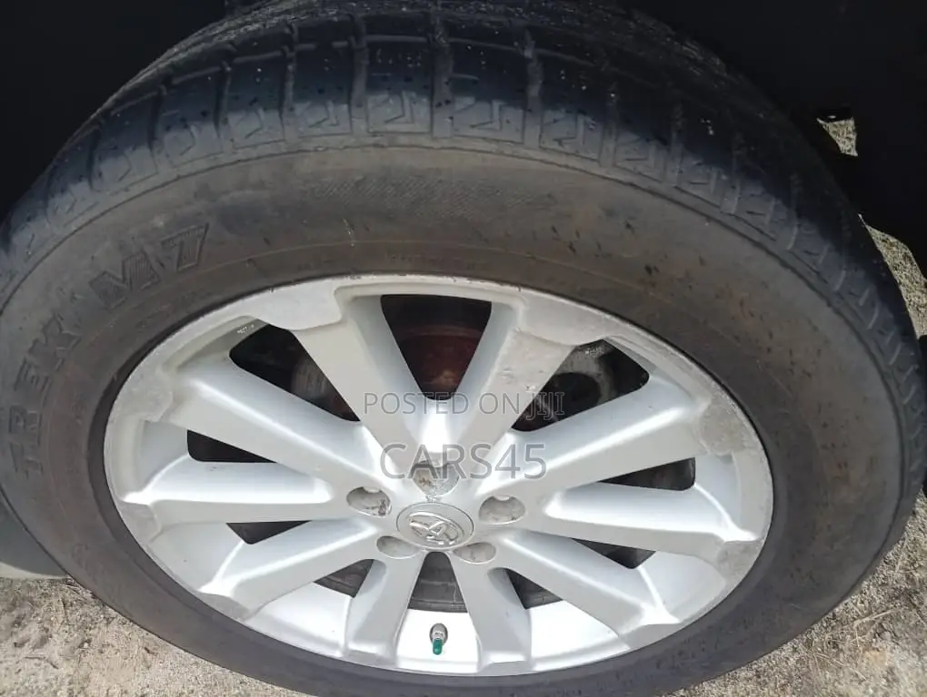 Toyota Venza 2009 Silver