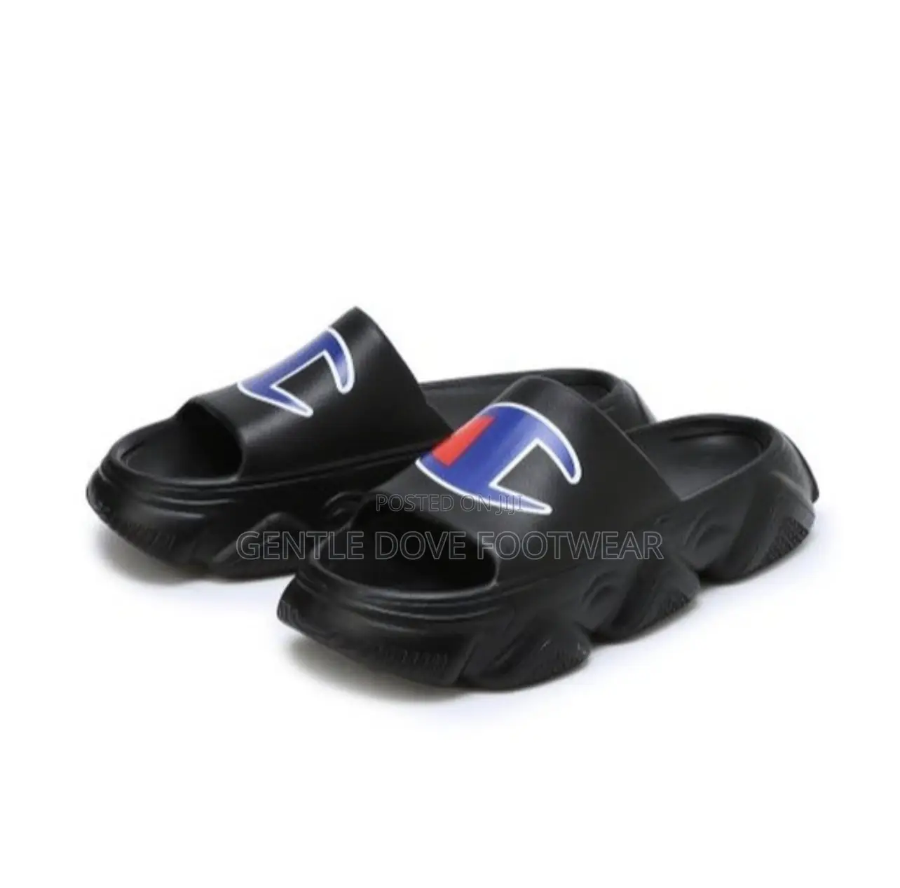 Champion Rubber Palms