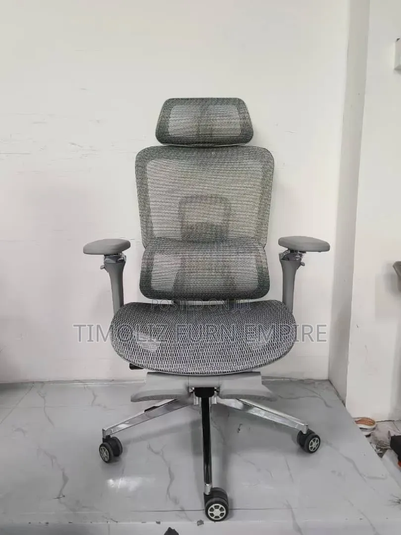 Mesh Ergonomic Office Chair.