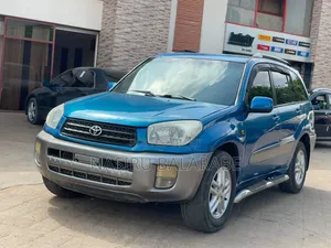 Toyota RAV4 2004 Blue