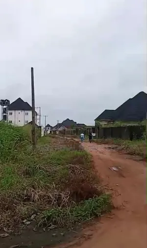 14 Plots at Obinze