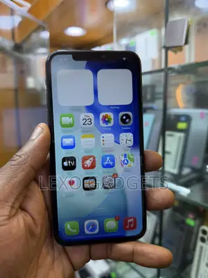 Apple iPhone 11 Pro Max 256 GB Gray