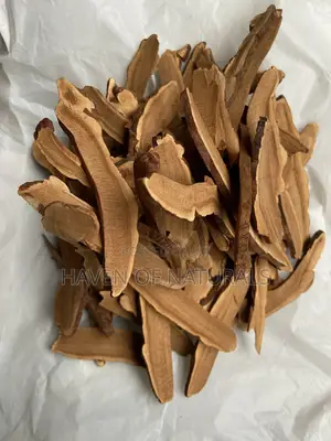 Reishi Mushroom (Dried) - 100g