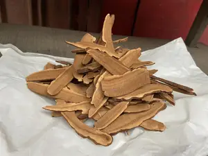 Reishi Mushroom (Dried) - 100g