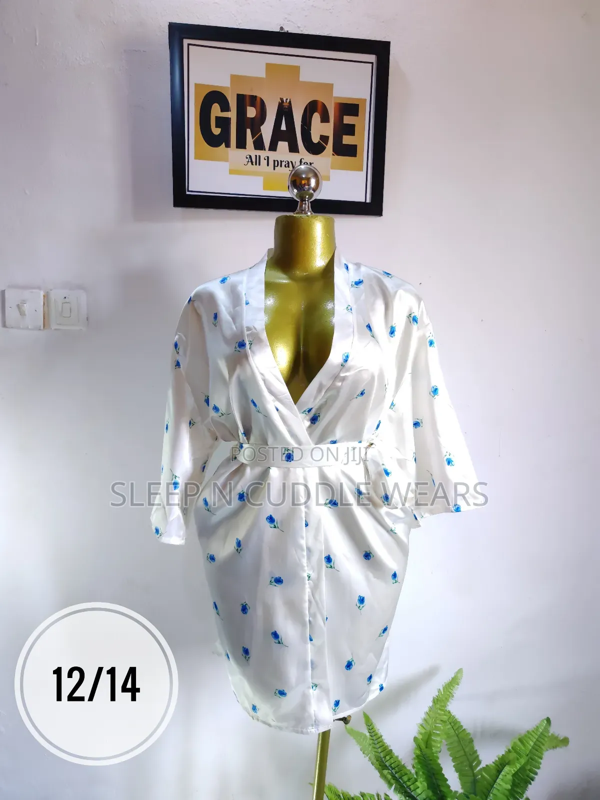Beautiful Silk Robe