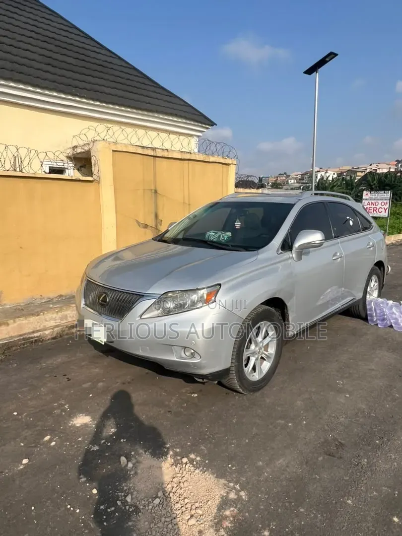 Lexus RX 2010 Silver