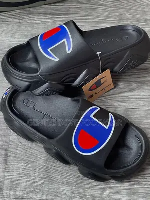 Champion Rubber Palms