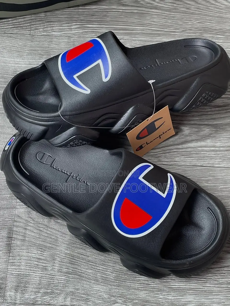 Champion Rubber Palms