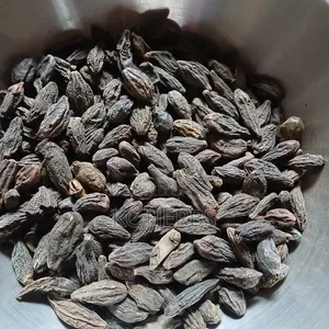 Haritaki Seed 500g
