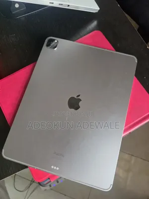 Apple iPad Pro 256 GB Gray