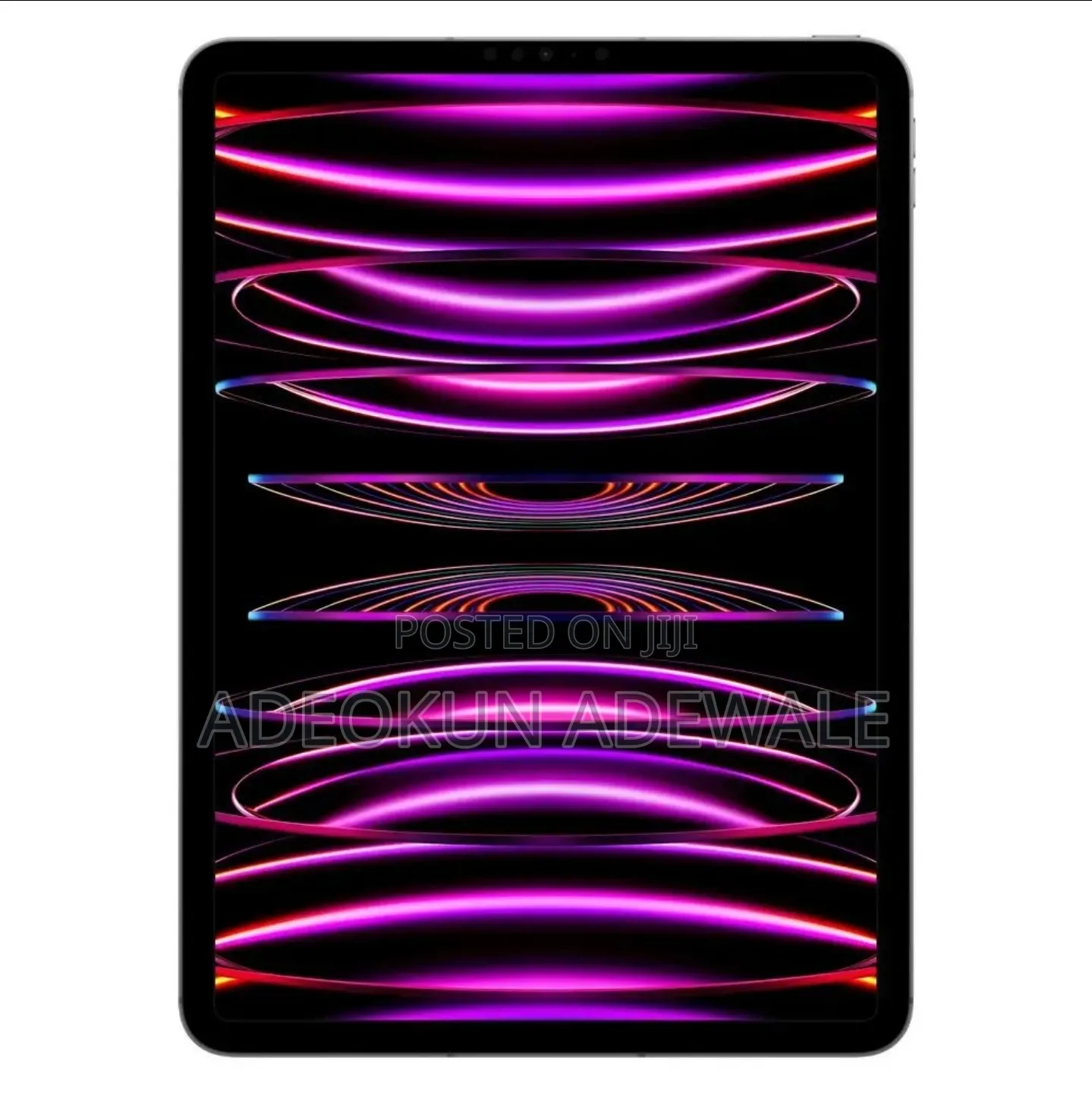 Apple iPad Pro 256 GB Gray