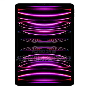 Apple iPad Pro 256 GB Gray