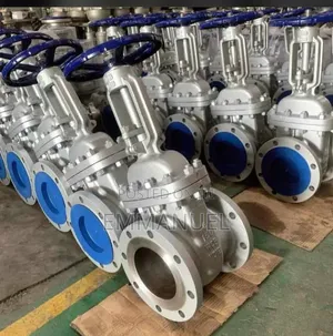 Gate Valve /Check Valve