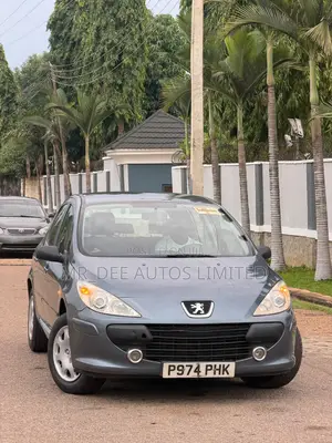 Peugeot 307 2007 Gray