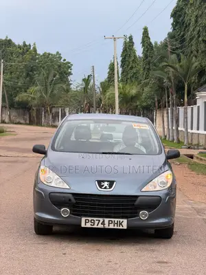 Peugeot 307 2007 Gray