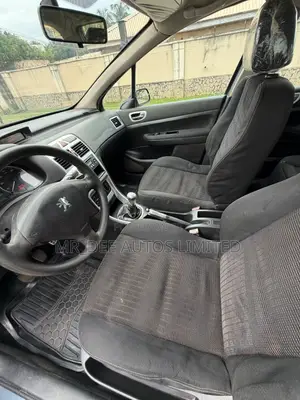Peugeot 307 2007 Gray