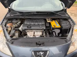 Peugeot 307 2007 Gray