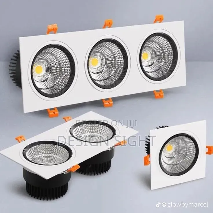 Double Adjustable Recessed COB LED Downlight With a Rectangular Trim