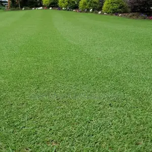 Lawn and Green Area Installation