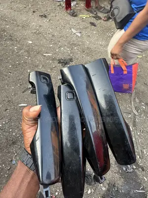 Land Cruiser 2010 Door Handle
