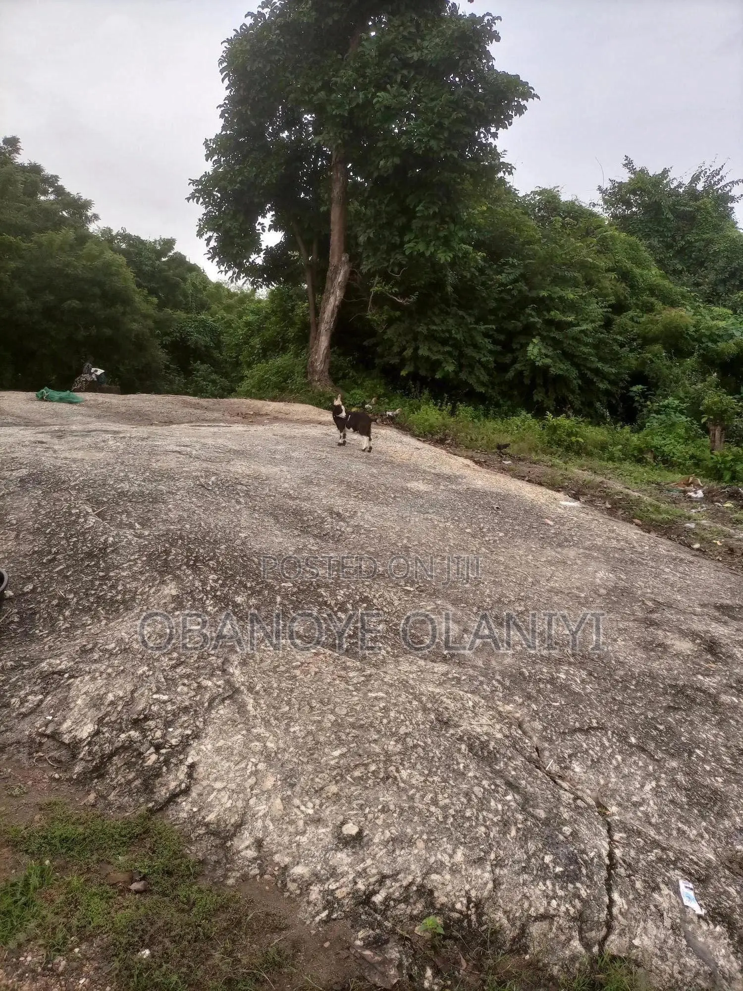 Igneous Rock for Quarry