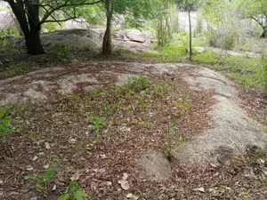 Igneous Rock for Quarry