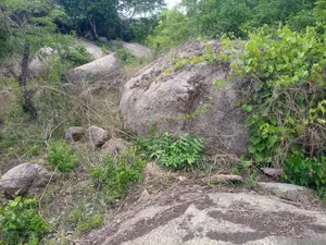Igneous Rock for Quarry