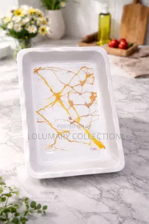 Big Size Plastic Tray