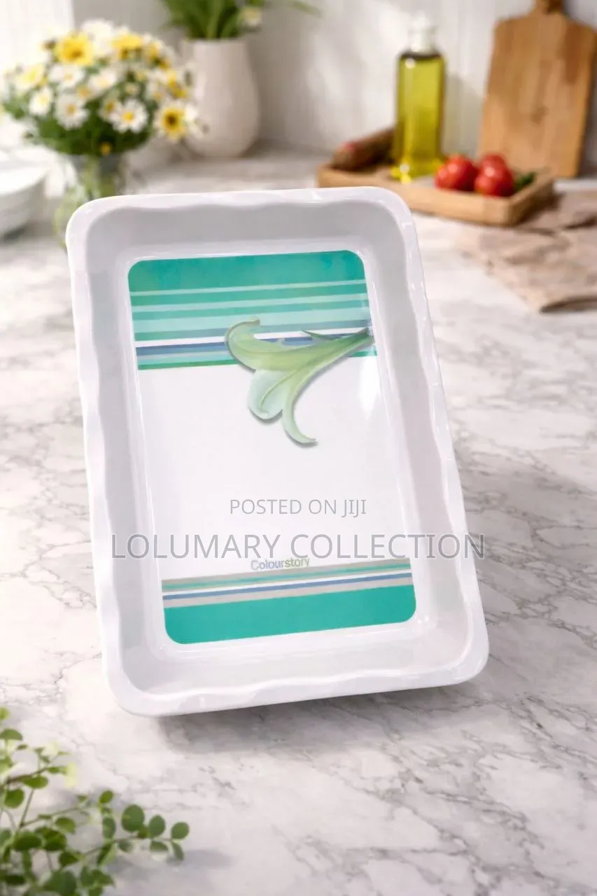 Big Size Plastic Tray
