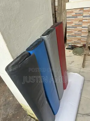 Leaking Roof Proof.