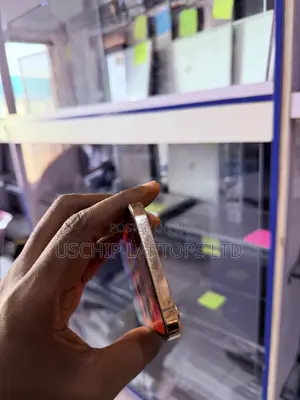 Apple iPhone 12 Pro Max 256 GB Gold