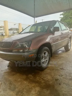 Lexus RX 300 2001 Brown