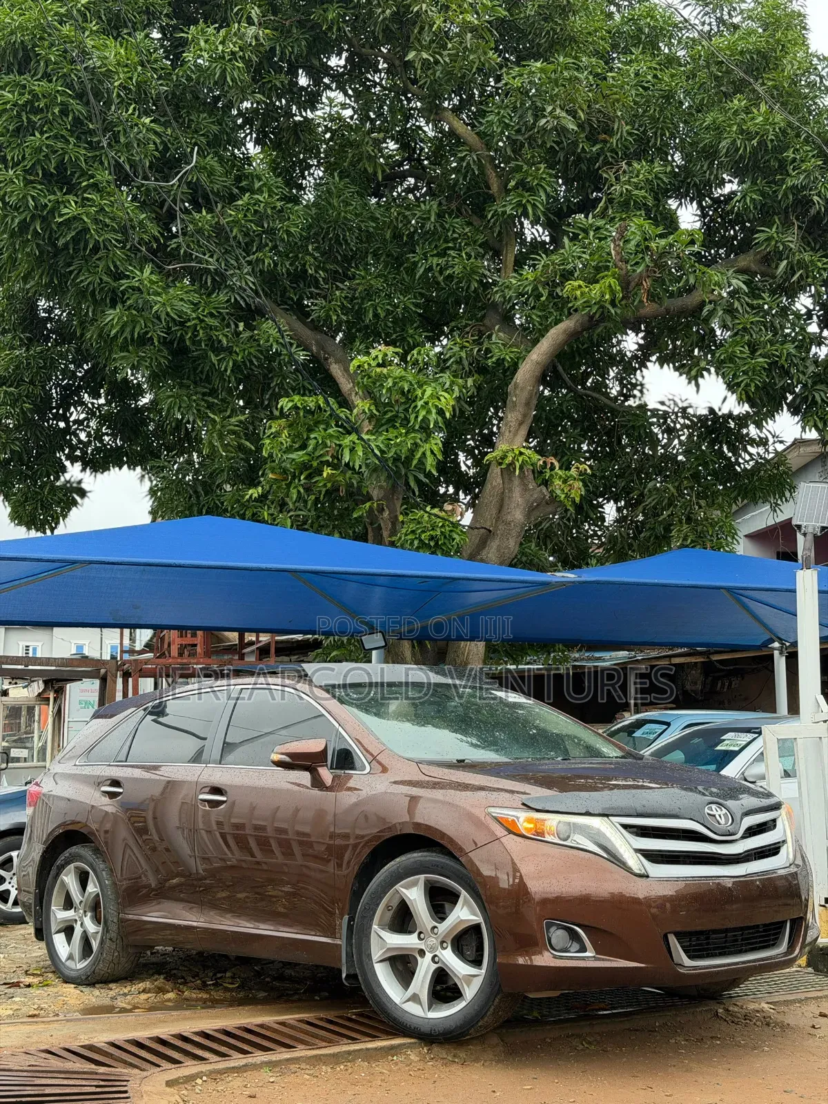 Toyota Venza XLE AWD 2013 Brown