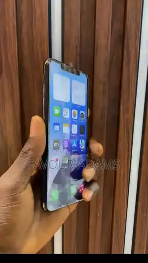 Apple iPhone XS Max 256 GB Black
