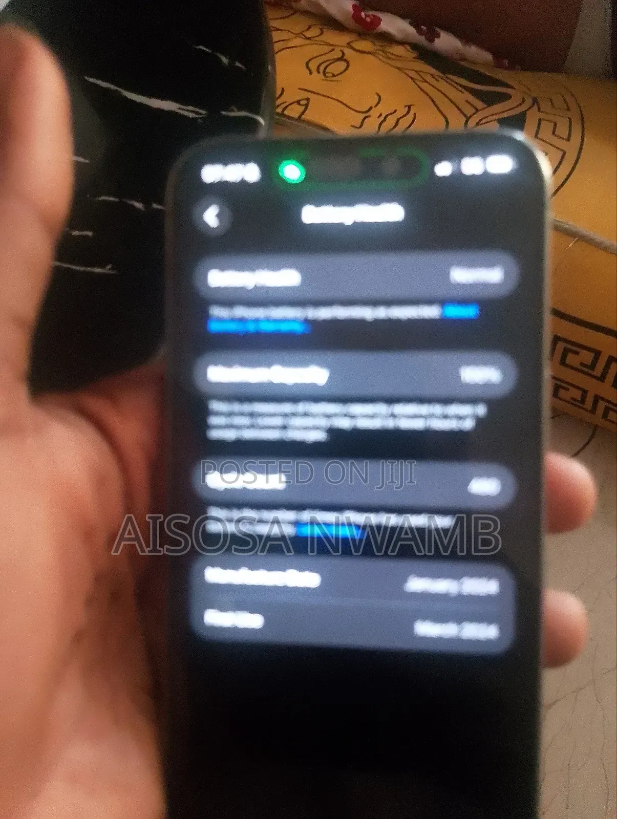 Apple iPhone 15 Pro Max 256 GB Gray