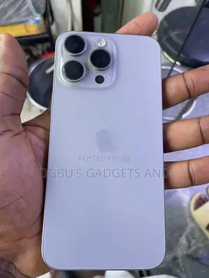 Apple iPhone 15 Pro Max 256 GB Gray