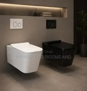 Conceal Water Closet White and Black