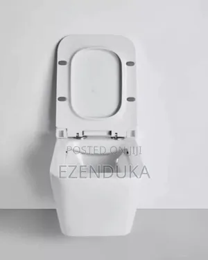 Conceal Wc