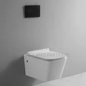 Conceal Wc