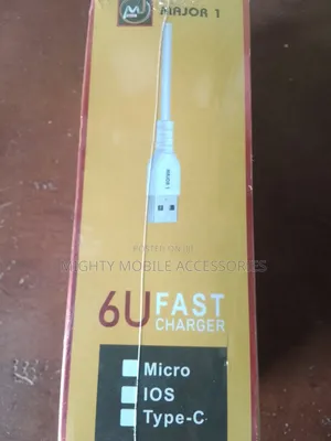 6U Fast Charger